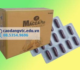 Hình ảnh mặt trước hộp thuốc và vỉ thuốc Macca Plus
