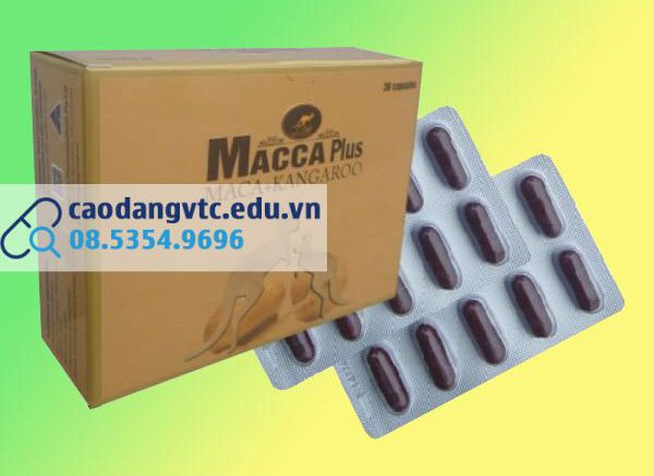 Hình ảnh mặt trước hộp thuốc và vỉ thuốc Macca Plus