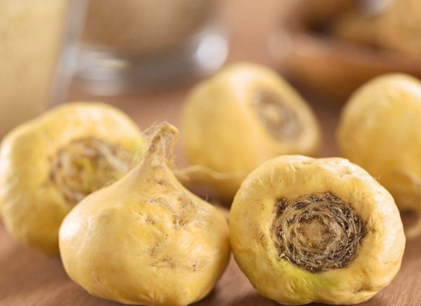 Củ Maca - thần dược trị yếu sinh lý cho nam giới