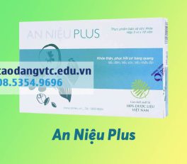 An Niệu Plus