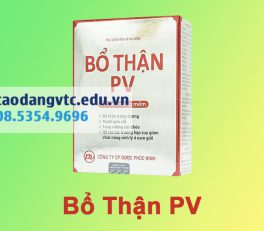 Bổ Thận PV